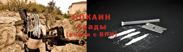 дживик Богданович