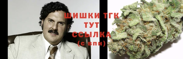 дживик Богданович