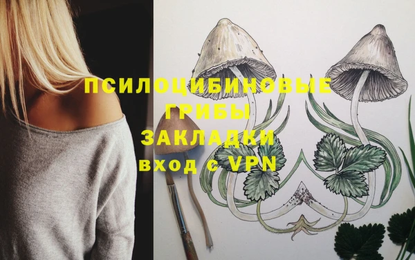 дживик Богданович
