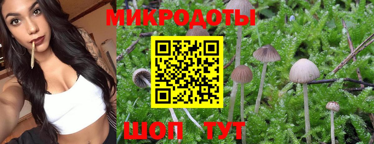 Псилоцибиновые грибы Бугульма
