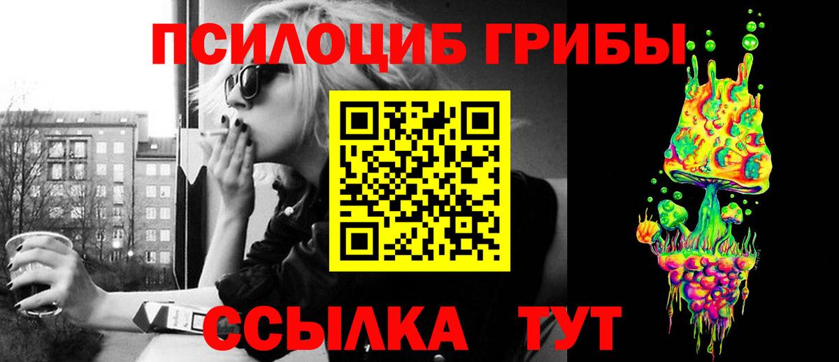Псилоцибиновые грибы Psilocybe Бугульма