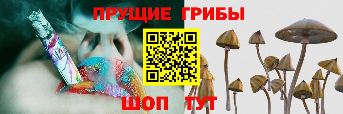 Бугульма  Псилоцибиновые грибы Cubensis  Псилоцибиновые грибы MAGIC MUSHROOMS  Вход с VPN 